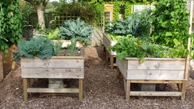 potager-jardin-bacs-permaculture