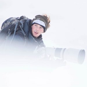 photographe-animalier-monde-blanc-jeremie-villet