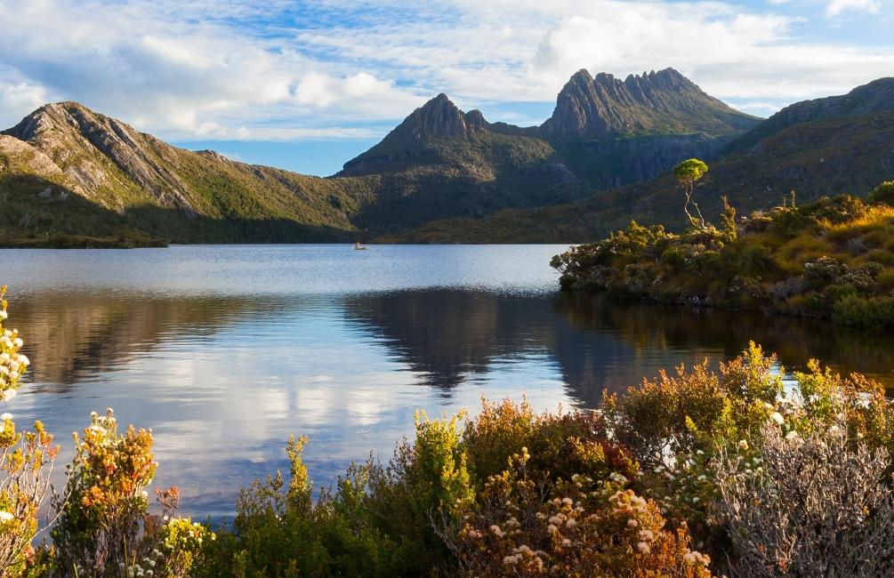 diable-tasmanie-lonely-planet