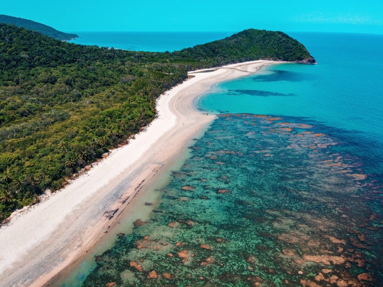cape-tribulation-plage-mangrove-daintree