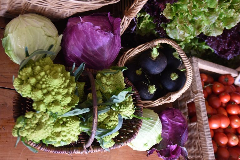 bec-hellouin-ferme-biologique-panier-legume