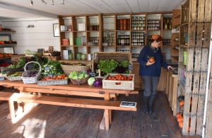 ferme-bec-hellouin-perrine-hervé-gruyer-epicerie-vrac-local