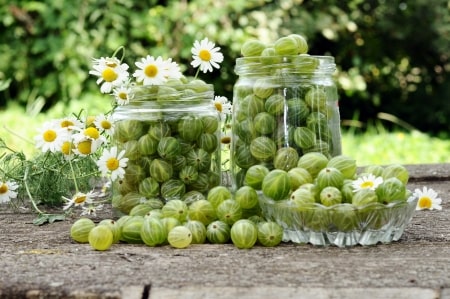 economie-partage-preter-son-jardin