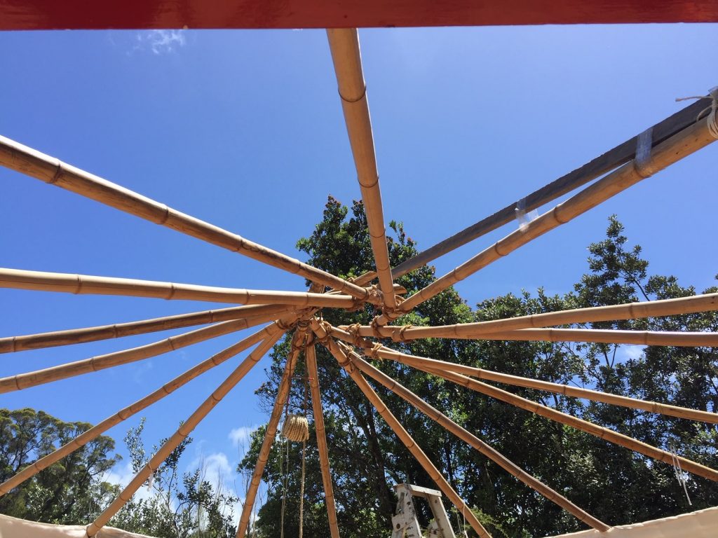 wwoofing-school-forest-permaculture-new-zealand
