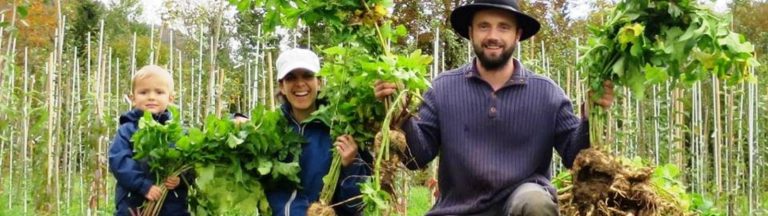 wwoof-suisse-alpage-ferme-permaculture