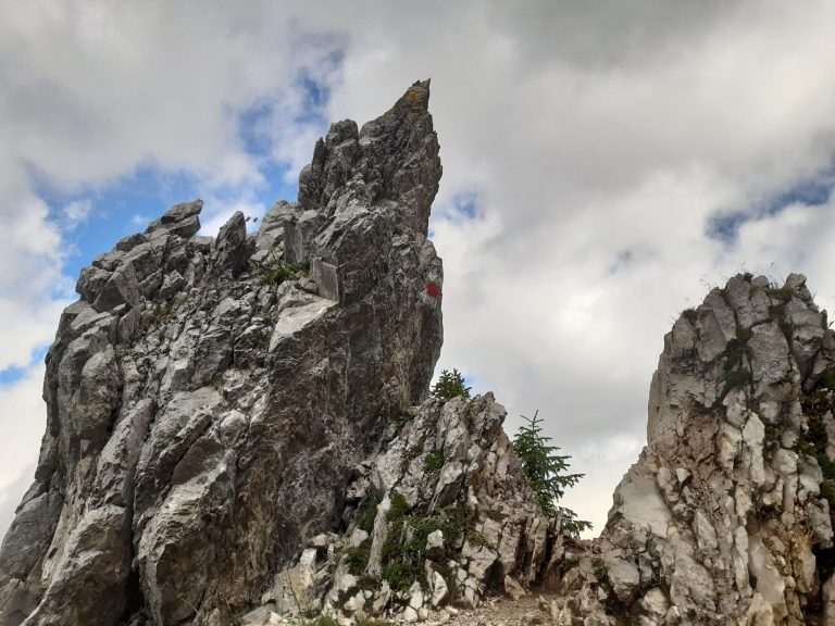 col loup gastlosen bern fribourg
