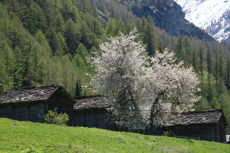 val-dherens-vex-valais-4000