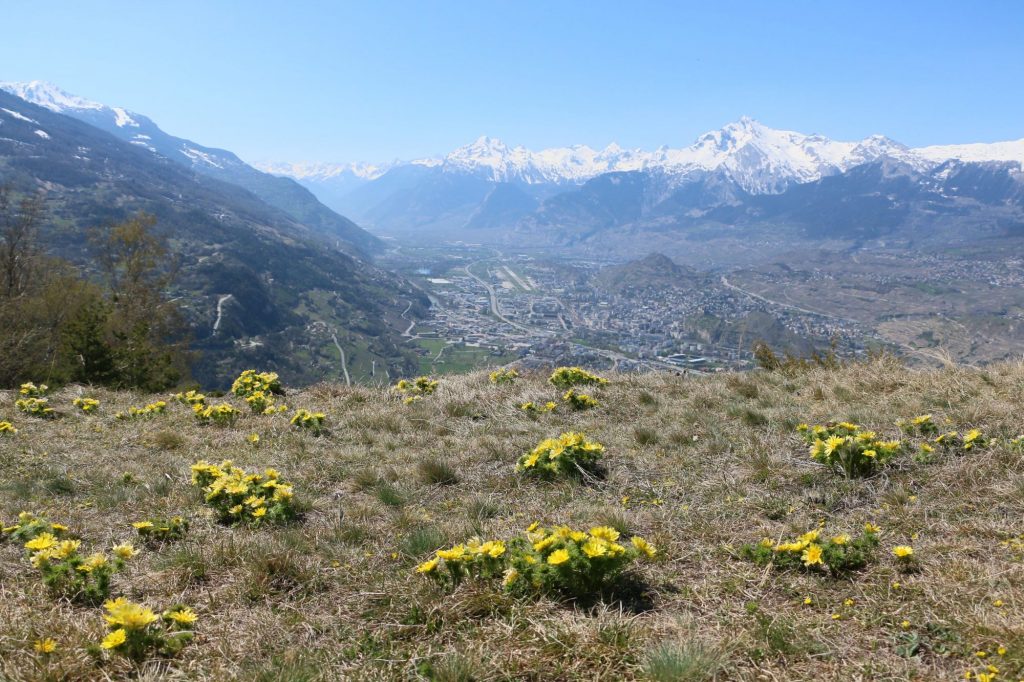 nax-sion-val-dherens-swisstainable