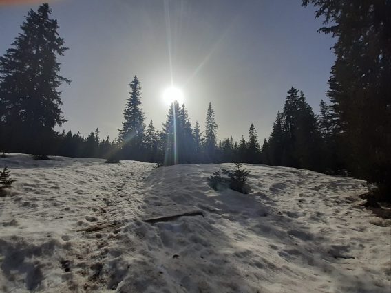 sabandonner-a-vivre-alu-mette-4 marchairuz-bivouac-foret-micro-aventure