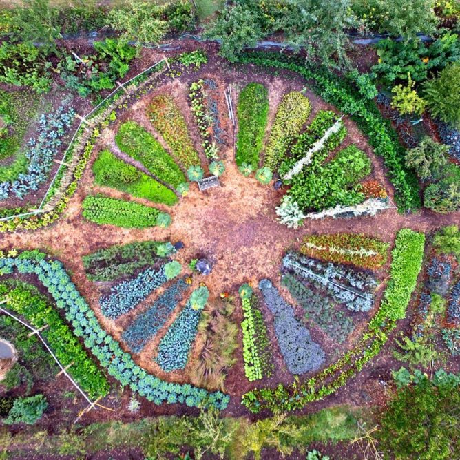 permaculture-alumette2 la-ferme-du-bec-hellouin-charles-herve-gruyer