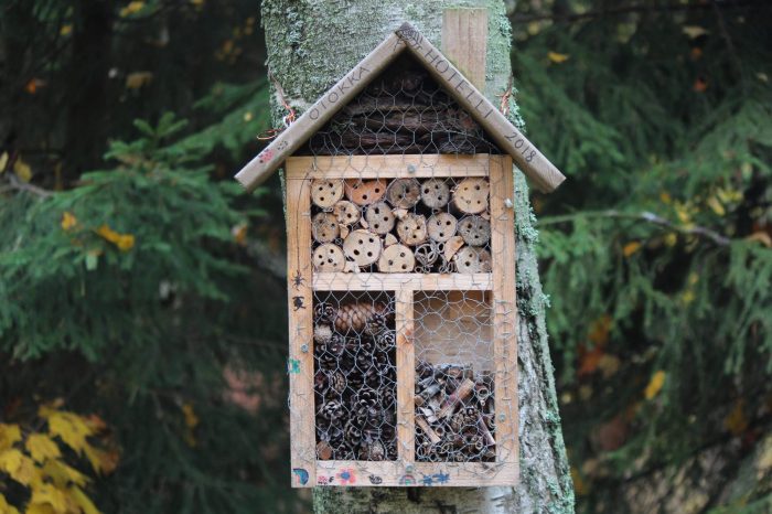 initier-enfant-ecologie-alu-mette-9 hotel-insectes-jardin-potager-environnement-ecologie-transition