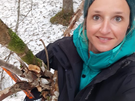 bivouac-micro-aventure-foret